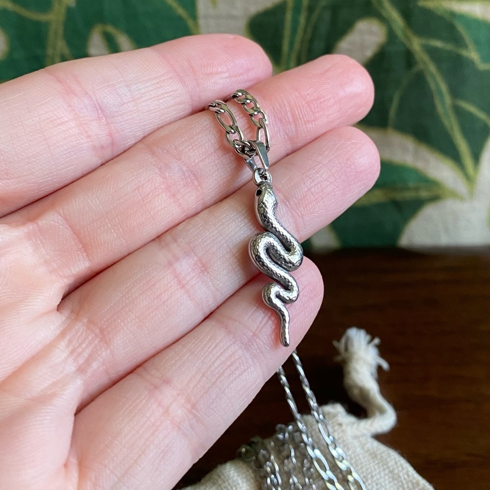 ✨ 2/$15 JEWELRY✨ Waterproof Stainless Steel Snake/ Serpent Necklace